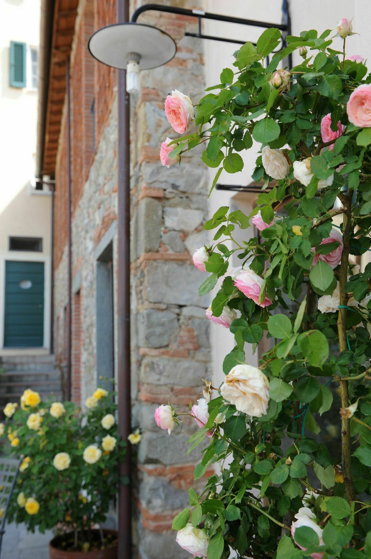 Tenuta San Pietro Luxury Hotel Lucca